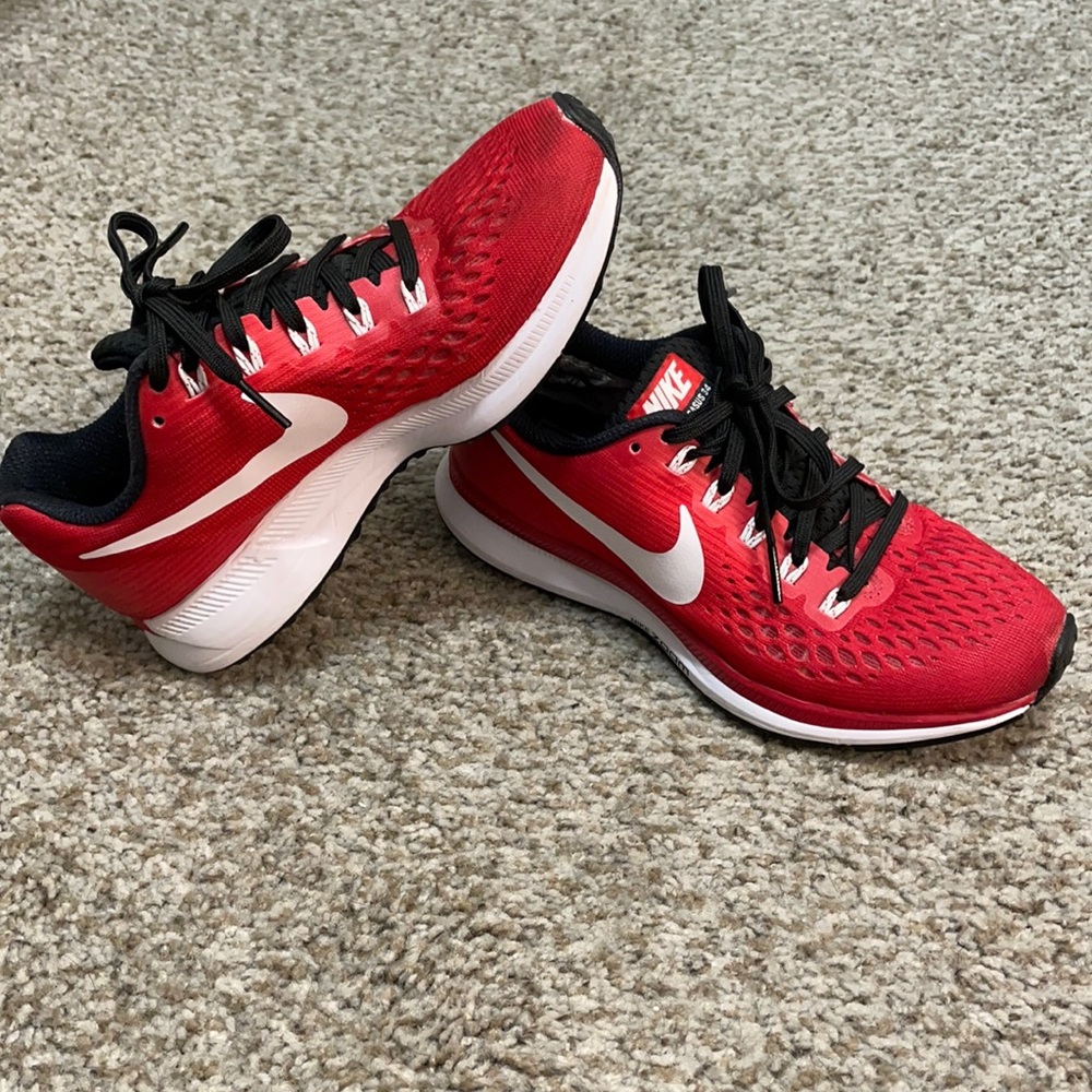 Nike Zoom Pegasus 34